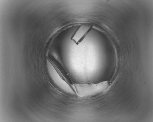 X0000063521449200602101939