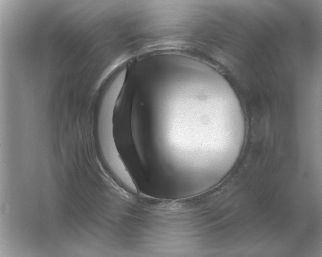 X0000063521450200602101939