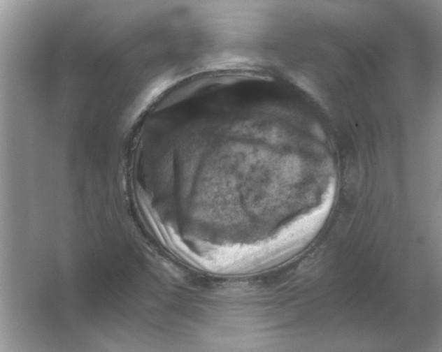 X0000063521455200602101939