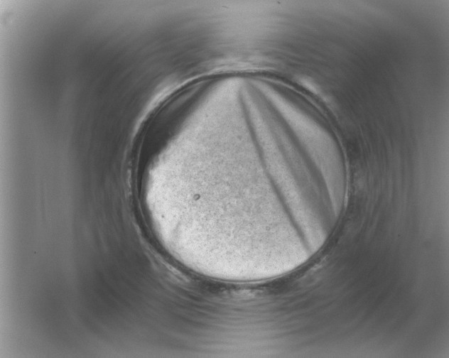 X0000063521459200602101939