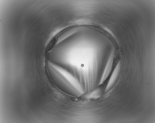 X0000063521461200602101939