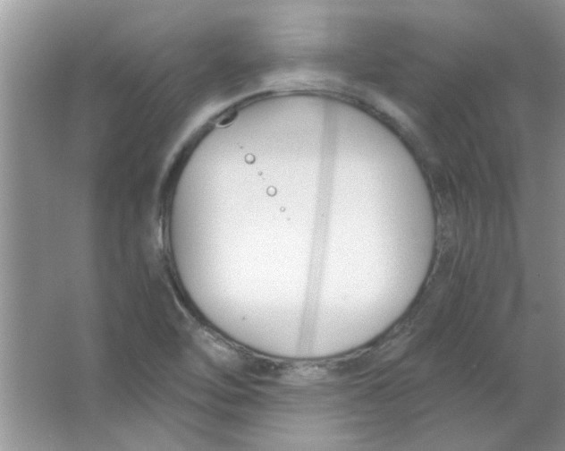 X0000063521462200602101939