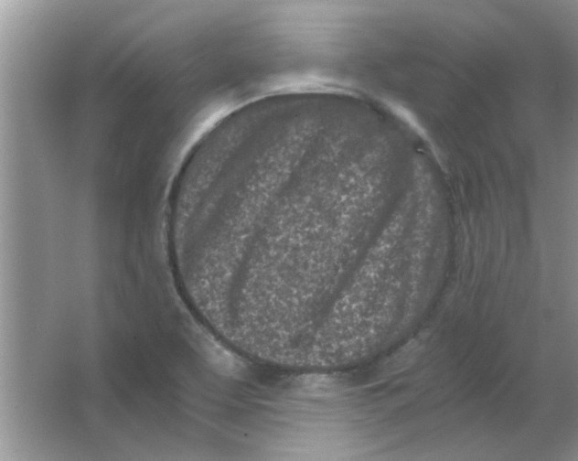 X0000063521463200602101939