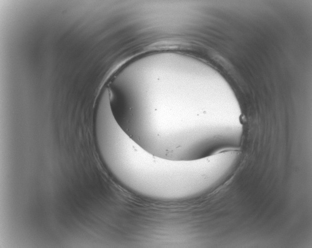 X0000063521465200602101939