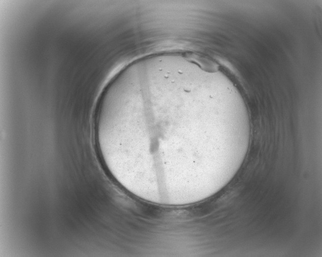 X0000063521467200602101939