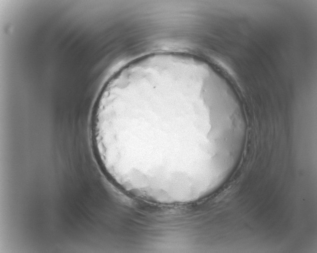 X0000063521471200602101939