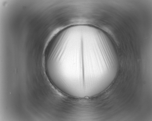 X0000063521472200602101939