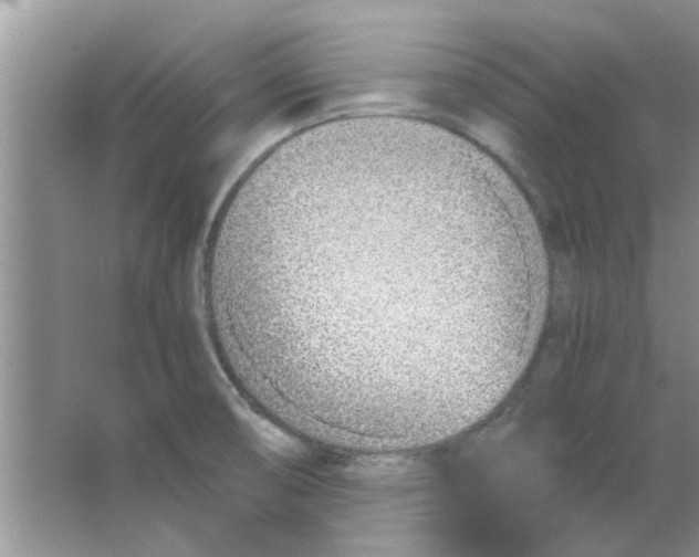 X0000063521474200602101939