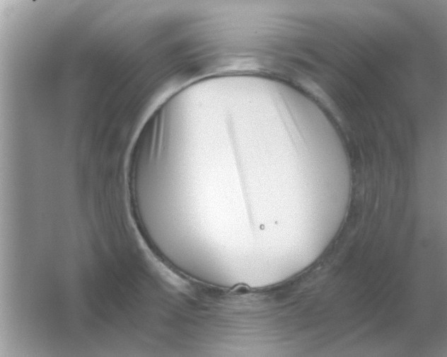 X0000063521475200602101938