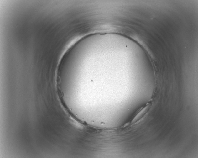 X0000063521477200602101938