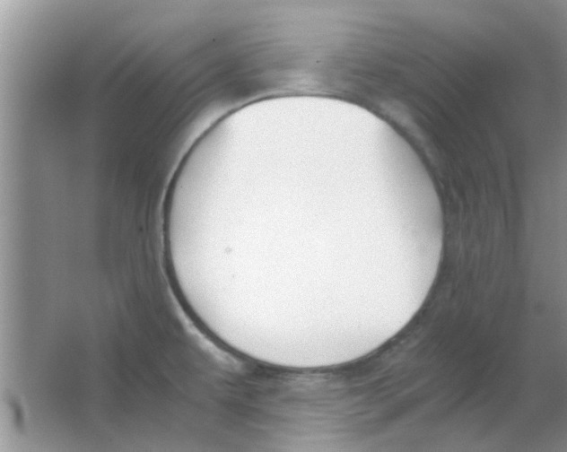 X0000063521479200602101938