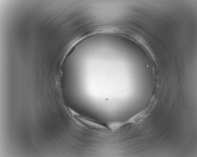 X0000063521481200602101938