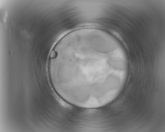 X0000063521482200602101938