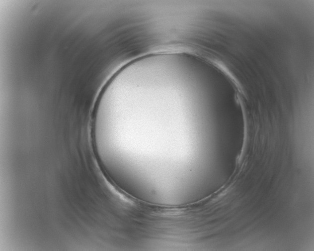 X0000063521484200602101938