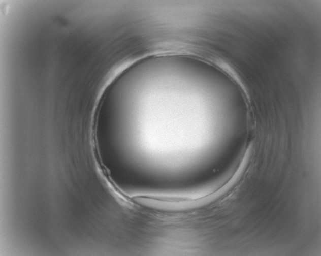 X0000063521485200602101938