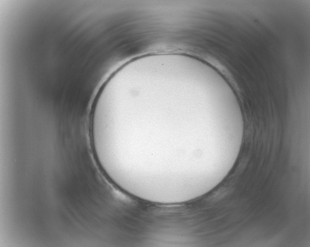 X0000063521486200602101938