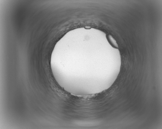 X0000063521489200602101937