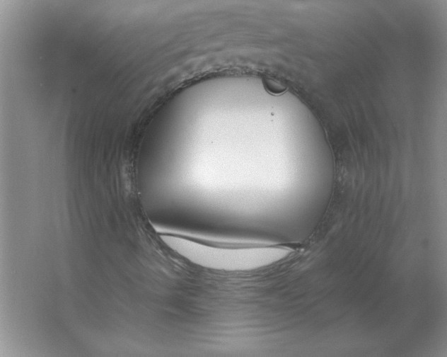 X0000063521490200602101937