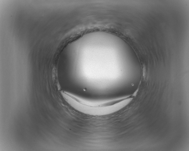 X0000063521492200602101938