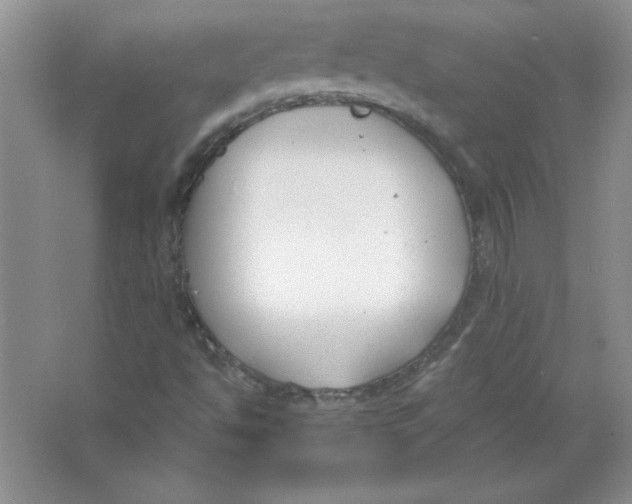 X0000063521494200602101938