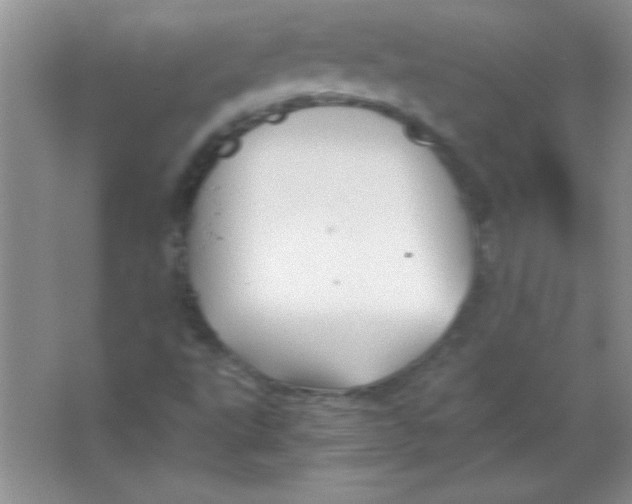 X0000063521495200602101938