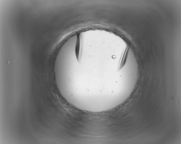 X0000063521496200602101938