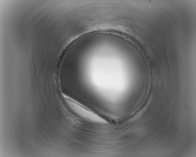 X0000063521497200602101938