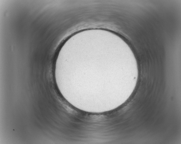 X0000063521498200602101938