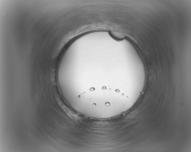 X0000063521499200602101938