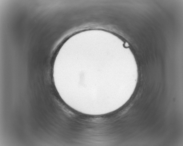 X0000063521502200602101938