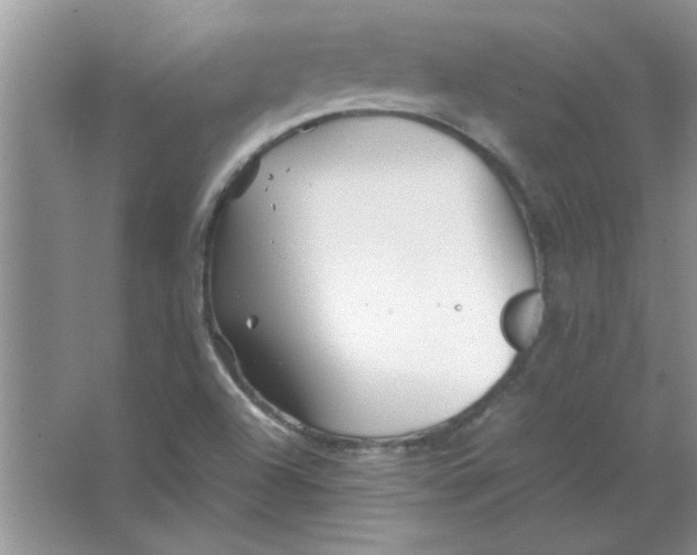 X0000063521504200602101938