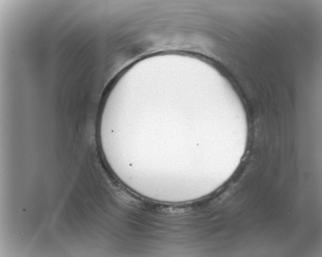 X0000063521505200602101938