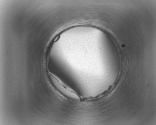 X0000063521506200602101938