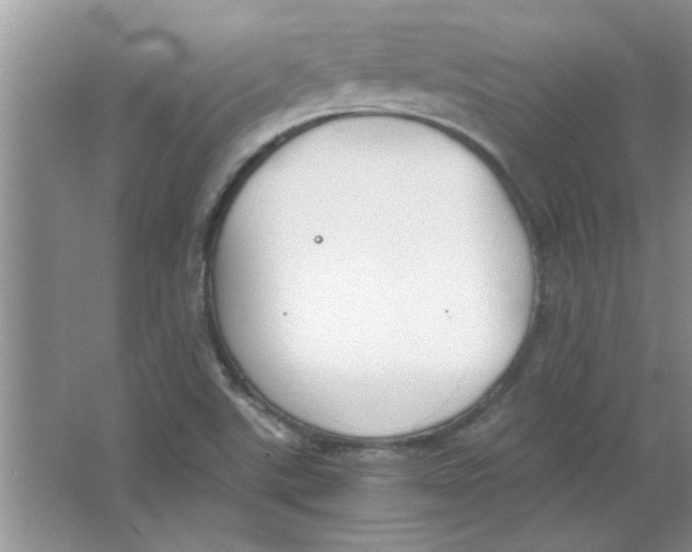 X0000063521507200602101938