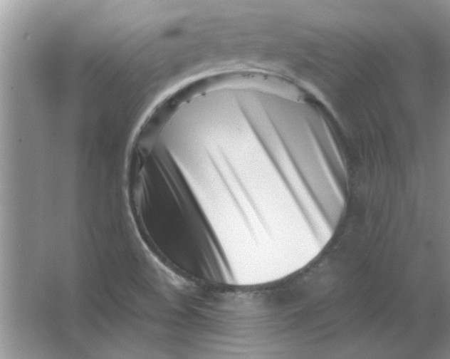 X0000063521508200602101938