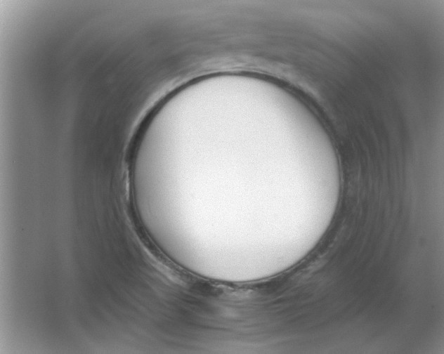 X0000063521509200602101938