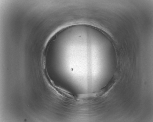 X0000063521510200602101938