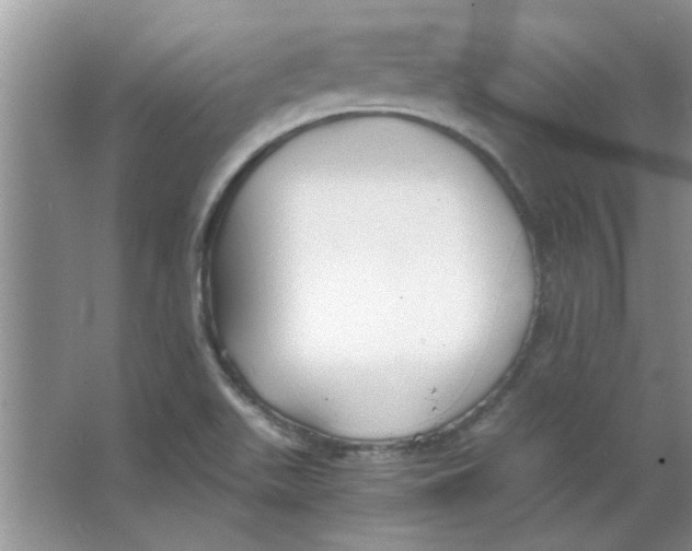 X0000063521511200602101938