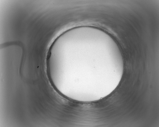 X0000063521512200602101938