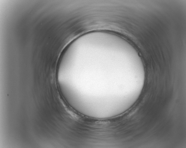 X0000063521513200602101938