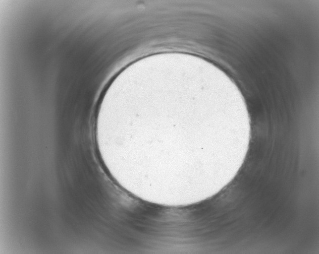 X0000063521514200602101938