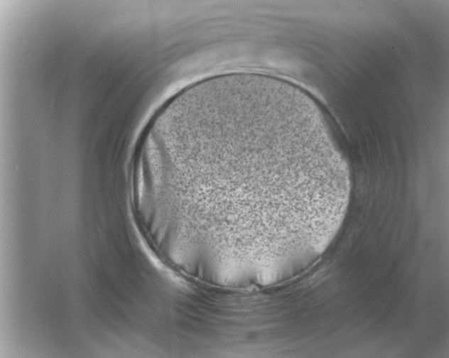 X0000063521515200602101938