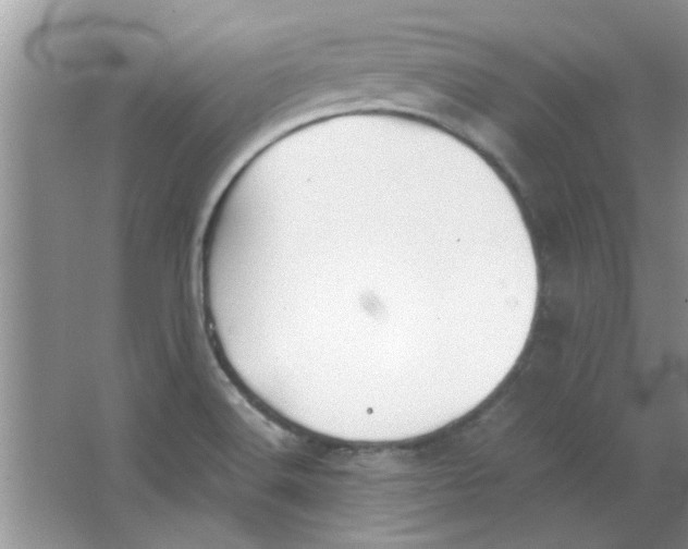 X0000063521516200602101938