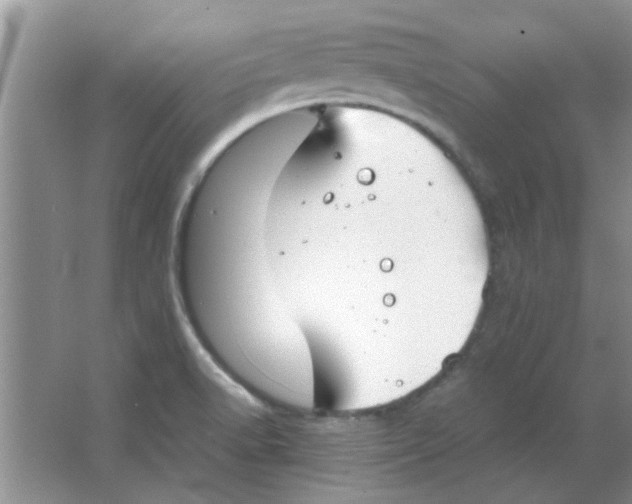 X0000063521518200602101938