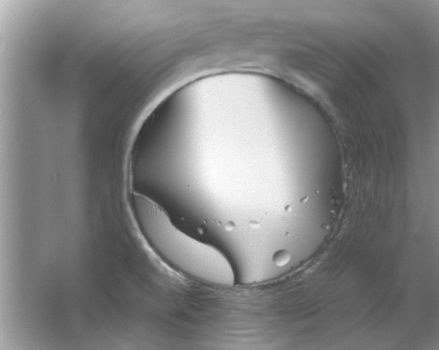 X0000063521520200602101938