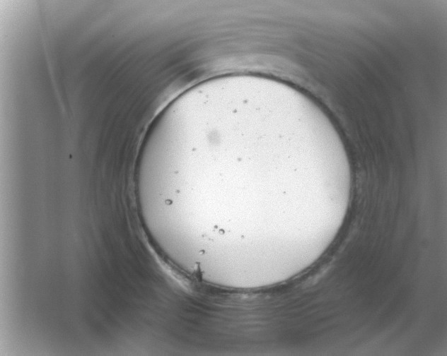 X0000063521521200602101938