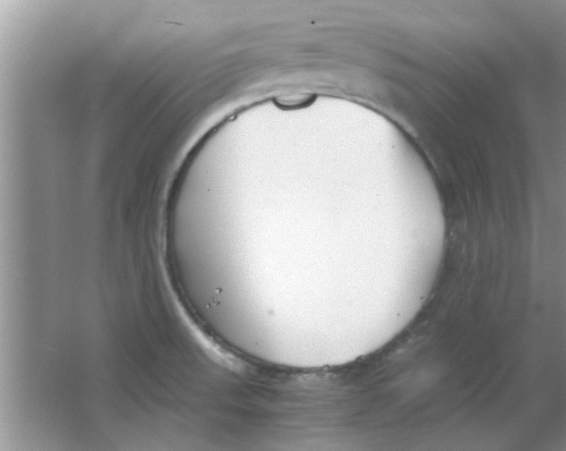 X0000063521523200602101938