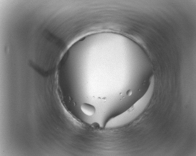 X0000063521524200602101938