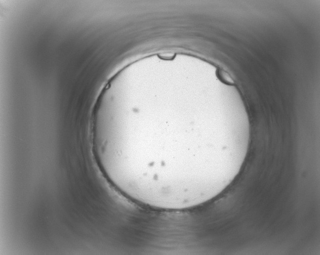 X0000063521526200602101938