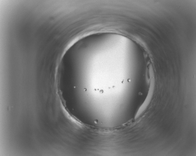 X0000063521528200602101938